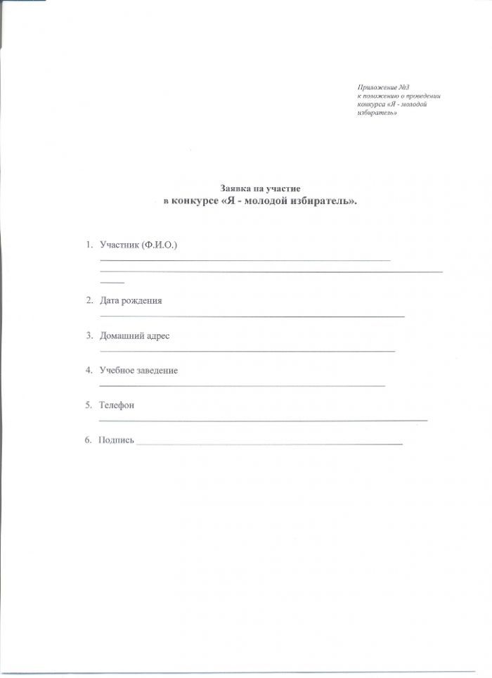 Я-молодой избиратель