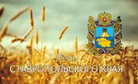 «Моё родное Ставрополье»